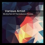 cover: Various - We Are Part Of The Evolution Process