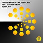 cover: Amber Traill|Aneesh Gera & Downpour - Memory