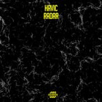 cover: Havic - Radar