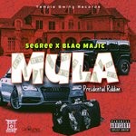 cover: Segree & Blaq Majic - Mula