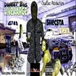 cover: Shecsta Fullyone - Dweet Big Live Large