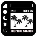 cover: Rodrigo Laitona|Deepkaos|Sandy Droop|Newessay|Ton Fly - Room012 Tropical Station