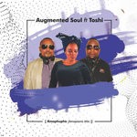 cover: Augmented Soul|Toshi - Amaphupho