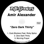 cover: Amir Alexander - Zero Dark Thirty