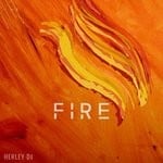 cover: Herley Dj & Herley Dj - Fire