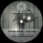 cover: Volodia Rizak - Acid Lake