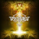 cover: Transient Disorder - Secret Vibration