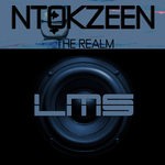 cover: Ntokzeen - The Realm (Afro Mix)