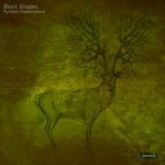 cover: Basic Shapes - Further Implications