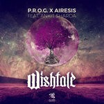 cover: Prog & Airesis & Ankit Sharda - Wishtale