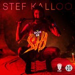 cover: Stef Kalloo - Doh Be Shy