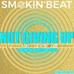 cover: Dave Leatherman|Hp Vince - Not Giving Up (House Mix)