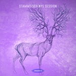 cover: Various - Stammtisch NYE Session