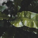 cover: Thing - Spliff Riddim