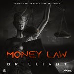 cover: Brilliant - Money Law