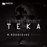 cover: Detroit Project - Teka