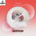 cover: Dexfa - Wild Side (Muztang Deep Remix)