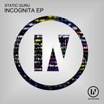 cover: Static Guru - Incognita