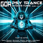 cover: Various - Psy Trance Goa Ultimate Tunes 2020 Top 10 Hits Parabola Vol 1