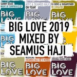 cover: Seamus Haji|Various - Big Love 2019 Mixed By Seamus Haji