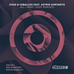 cover: Astrid Suryanto|Chus & Ceballos - All I Want (2020 Remixes)