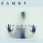 cover: Zamky - Panic