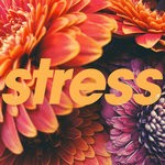 cover: Tycho - Stress