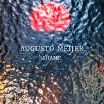 cover: Augusto Meijer - Shame