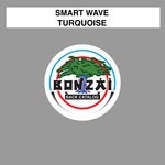 cover: Smart Wave - Turquoise