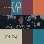 cover: Dj Ex - Stupid Love