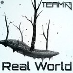 cover: Team 13 - Real World