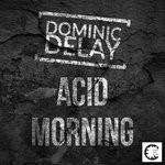 cover: Dominic Delay - Acid Morning