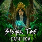 cover: Basher Toe - Pasifika