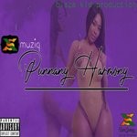 cover: Xs - Punnany Harmony