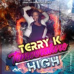 cover: Terry K - Temperature High