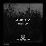 cover: Auditiv - Risin Up