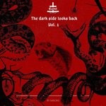 cover: Various - The Dark Side Looks Back Vol 1