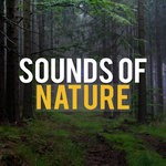 cover: Sounds Of Nature - Sounds Of Nature