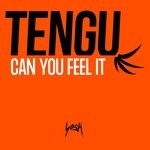 cover: Tengu - Can You Feel It