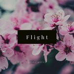 cover: Rianu Keevs - Flight