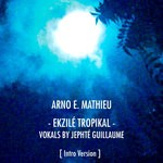 cover: Arno E Mathieu|Jephte Guillaume - Ekzile Tropikal