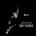 cover: Bos Taurus - Growled