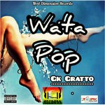 cover: Gk Gratto - Water Pop