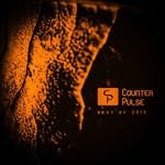 cover: Various - Counter Pulse/Best Of 2019