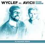 cover: Avicii|Wyclef Jean - Divine Sorrow