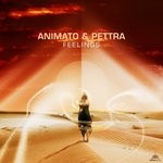 cover: Animato|Pettra - Feelings