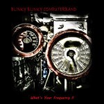 cover: Blinky Blinky Computerband - What's Your Frequency II