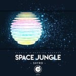 cover: Shyro - Space Jungle