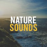 cover: Nature Sounds - Nature Sounds