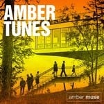 cover: Various - Amber Tunes